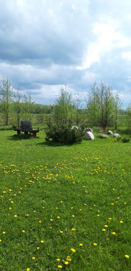 Ponka Guesthouse Jõesuu Dış mekan fotoğraf